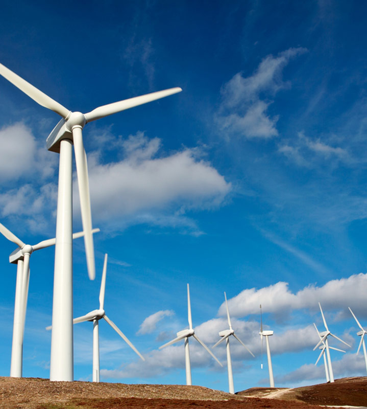 wind turnbine field